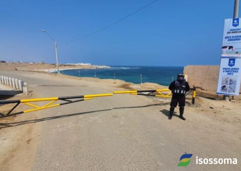 Fondo-articulo-blog-1