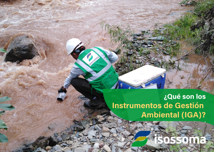 IGAS Instrumento de gestion ambiental