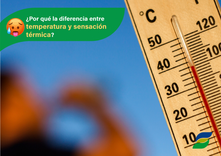 calor cambo climatico monitoreo