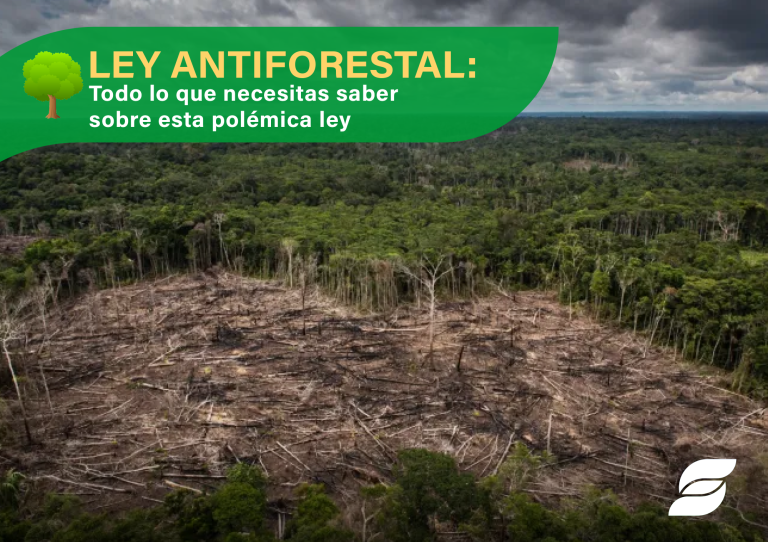 blog ley antiforestal, medio ambiente, flora, arboles fau