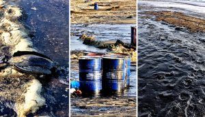 isossoma, monitoreo ambiental 